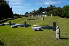 추석을 앞두고 여주 계림리에... - Dr. Sparks Columns