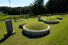 추석을 앞두고 여주 계림리에... - Dr. Sparks Columns