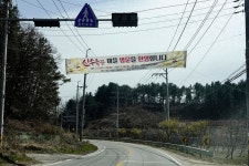 양평 산수유마을, 내리의 산수유꽃 마을축제와 주읍리 방문 - Dr. Sparks Columns