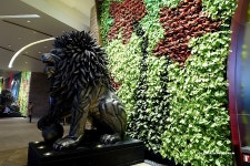 익스트림무비 - [마카오영화제] 씨티오브 드림 호텔