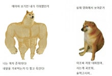 익스트림무비 - <에이바> - <뉴뮤턴트> 연속으로 본 후기