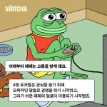 익스트림무비 - 개구리 페페가 죽을 수밖에 없었던 이유