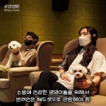 익스트림무비 - 메가박스, 세계 최초 반려견 시네마 퍼피 시네마 오픈