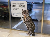 익스트림무비 - 수원 CGV 현황 7/17