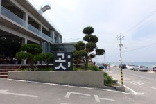 익스트림무비 - [평창영화제] 2020.6.23-6일차 데일리