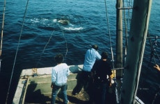 익스트림무비 - 역대 가장 혹독했던 영화 촬영 현장 19