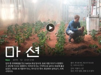 익스트림무비 - 넷플릭스 [마션] 업데이트