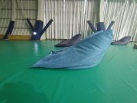 익스트림무비 - [평창영화제] 대관령 트레이닝 센터 모습