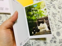 익스트림무비 - 경기씨네 굿즈 예상외로 정말 예쁘네요.:)