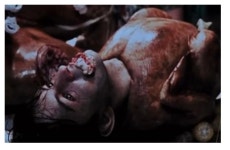 익스트림무비 - 애디슨 레이, 일라이 로스의 