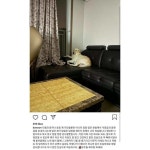 익스트림무비 - aoa 전멤버 민아 인스타 새로 업뎃한 글 jpg