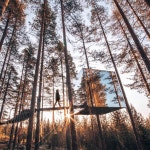 익스트림무비 - 북스웨덴 숲속의 미러 트리 호텔