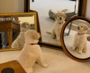 익스트림무비 - 거울샷 🪞