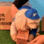 익스트림무비 - 새로운 프로필 사진 찍은 경태