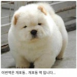 익스트림무비 - 개포동