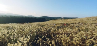 익스트림무비 - 제주 산굼부리 억새보러가세요~ 익스트림무비 - 제주 산굼부리  억새보러가세요~