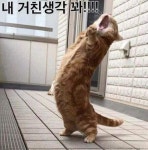 익스트림무비 - 내 거친 생각과~~~