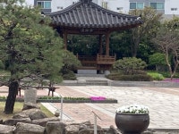 익스트림무비 - 신도림 테크노마트 옥상 정원 좋네요~