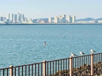 익스트림무비 - [사진많음 주의] 조용히 던지고 가는 동네 바닷가 풍경