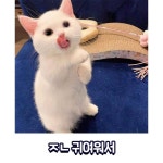 익스트림무비 - 고양이가 멸종하지 않는 이유