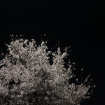 익스트림무비 - 서울 서대문구에 이런곳이 있네요