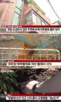 익스트림무비 - 서울 모 주택가...한여름의 공포...바퀴의 습격...