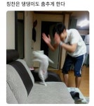 익스트림무비 - 고양이 죽은척 하기