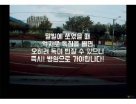 익스트림무비 - 도와주세요...아내가 장수 말벌에 쏘였어요...