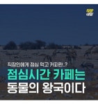 익스트림무비 - 직장인에게 점심 먹고 카페는...동물의 왕국이다...