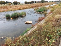 익스트림무비 - 이 곰돌이 여기서 뭐하는지 아시는 분~?😂