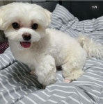 익스트림무비 - 경태 최근 근황