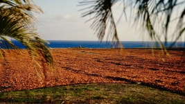 익스트림무비 - 직접 찍어 본 제주 사진들