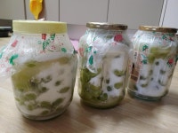 익스트림무비 - 야밤에 포도청 담그게될줄은.....