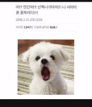 익스트림무비 - 스마트폰 중독테스트(전 완전 ㅠㅠ)