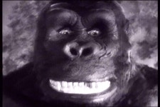 익스트림무비 - 킹콩(1933) T-REX와의 사투