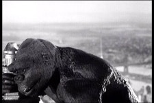 익스트림무비 - 킹콩(1933) 킹콩의 최후