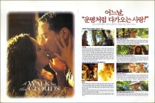 익스트림무비 - 구름 속의 산책 전단