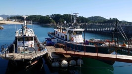 ((한사리))갈도산 돌돔(뺀찌들)4짜3짜급들이상이네요! 긴꼬리조과도 좋아요(모두 흘림낚시 조과입니다)