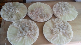 도다리 실시간 조황입니다 인터넷바다낚시 - 대한민국 바다낚시 포탈사이트