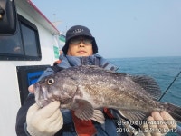 진도 kd3호 1일 오전조황 인터넷바다낚시 - 대한민국 바다낚시 포탈사이트