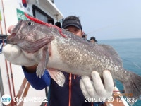 [여수피쉬헌터호] 먼바다 왕우럭.쏨벵이 쿨러 !! 인터넷바다낚시 - 대한민국 바다낚시 포탈사이트