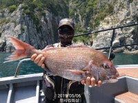 ((한사리))두미&갈도 7짜.6짜.5짜.4짜.상사리급들! 내일새벽 정상출항! 인터넷바다낚시 - 대한민국 바다낚시 포탈사이트