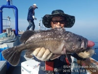 진도 아라온1호(kd3호) 우럭열기 아침조황
