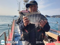 남해상주,미조 감성돔흘림 매일ㄷㄷㄷ