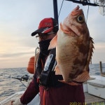 [뉴거제호] 먼바다 왕열기 명절 전 기회는 단 2번뿐!