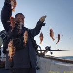 (南)남해조황 - [뉴거제호]열기 깡패급 시즌을 맞이하며~입질 외침은 필수