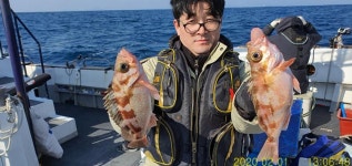 (南)남해조황 - [뉴거제호]열기 깡패급 시즌을 맞이하며~입질 외침은 필수