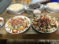 낼 월요일부터 먹물폭탄 왕오징어 평일,주말 예약가능 인터넷바다낚시 - 대한민국 바다낚시 포탈사이트