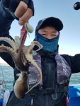 굴곡없이 꾸준한 쭈꾸미 문어 오버급종종출현 인터넷바다낚시 - 대한민국 바다낚시 포탈사이트
