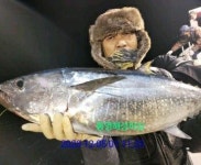 통영해성피싱 조항입니다~~^^